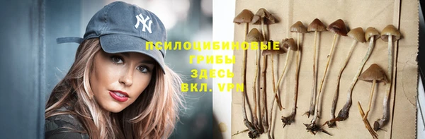 амф Заводоуковск