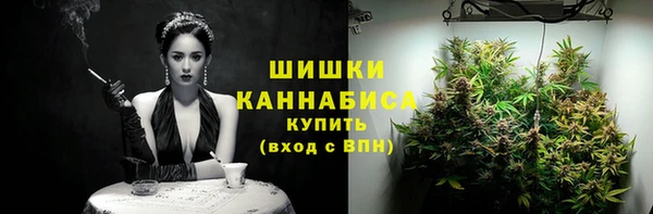 амф Заводоуковск