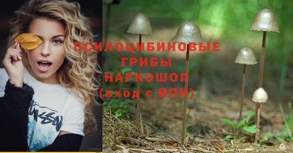 ALPHA-PVP Заволжск